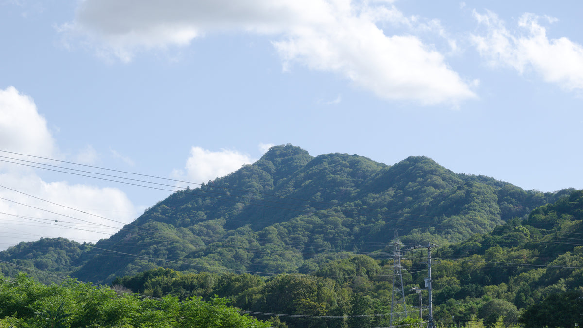 04｜三本松の町を見守る、虎丸山